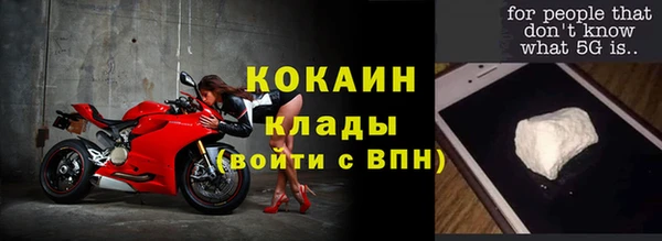 молекула духа Белокуриха