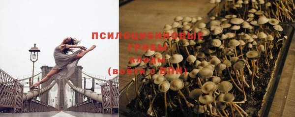 молекула духа Белокуриха