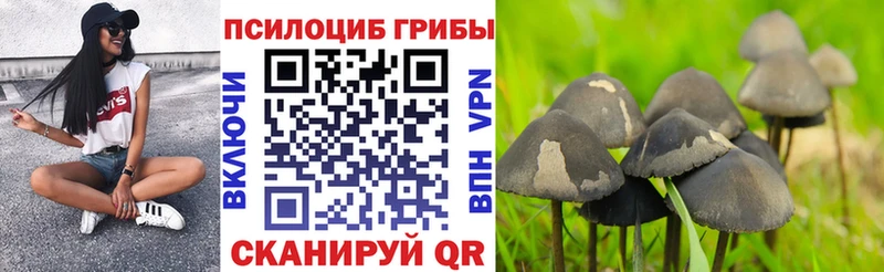 Галлюциногенные грибы GOLDEN TEACHER  OMG сайт  Кудымкар 